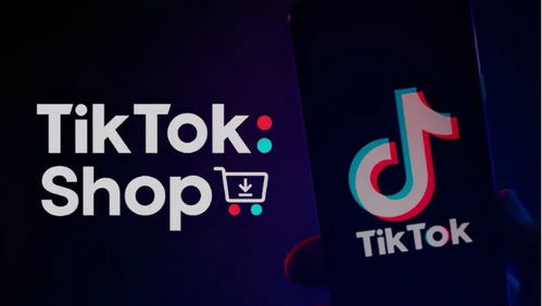 什么是TikTok入驻邀请码?