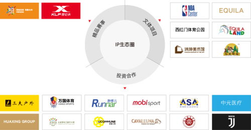 卡盟吧的运作模式与生态构成