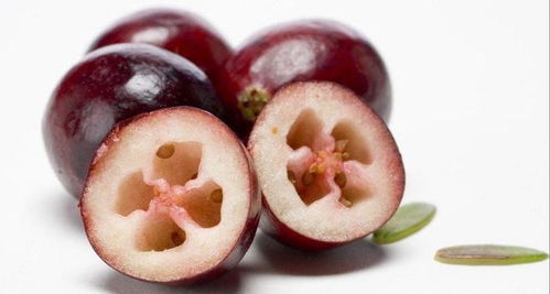 四、富含L-精氨酸的食物