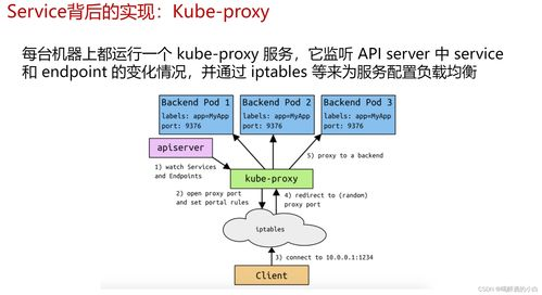 一、在线种子资源网的概述