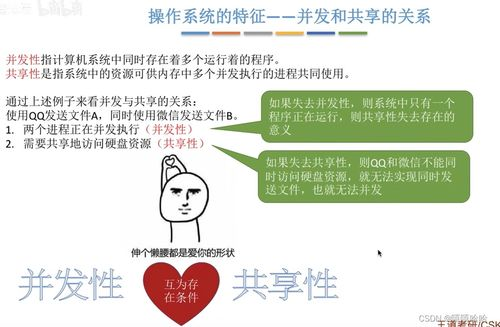 四、种子资源网的使用技巧