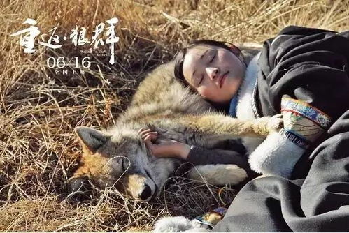 三、独立生活中的挑战