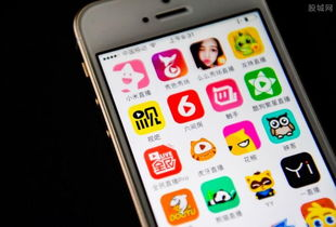 5. 中央1台直播的社会影响