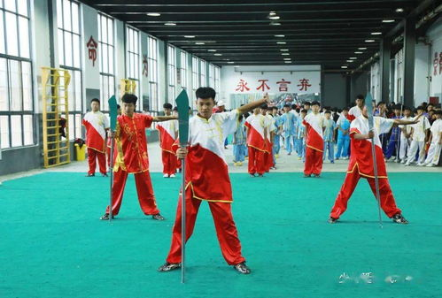 四、武术表演：中华武术的传承与展示