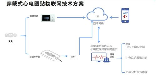 二、确保网络连接稳定