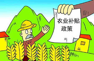 五、野鸭子的季节性变化与观察要点