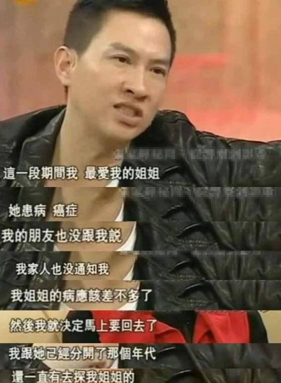 一、张家辉的电影生涯概述