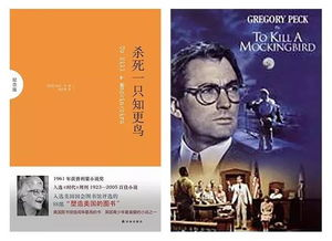 四、影片资源的积累