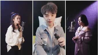 二、网红翻唱的影响力