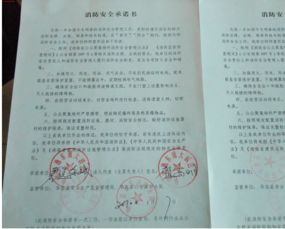 五、官方声明的法律效力