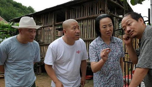 一、合法免费观看乡村爱情的途径