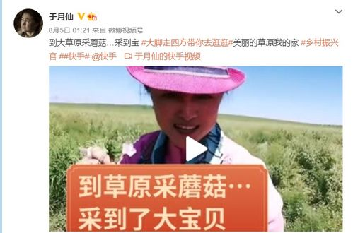 三、乡村爱情免费观看的注意事项