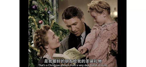 五、真爱至上的生活态度