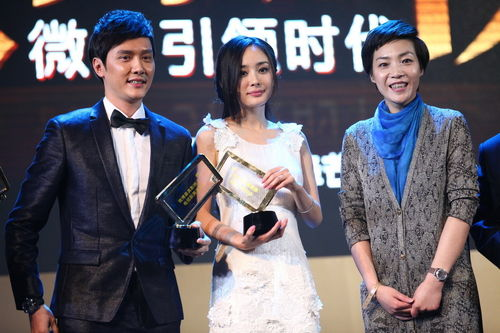 二、杨幂电视剧的高收视率与市场影响力