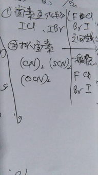 一、主题曲：情感共鸣的旋律