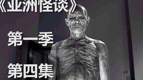 三、经典谍战电视剧剧情解析