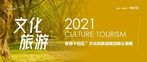 五、文化背景的影响