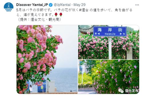 五、野花视频在社交媒体上的传播