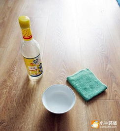 5. 快速清洁的小技巧