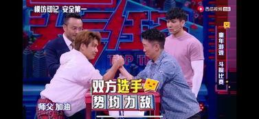 三、电视节目内容的丰富性