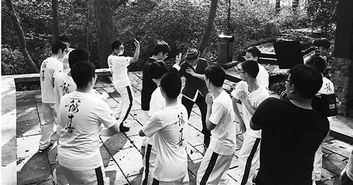 三、叶问的弟子与传承