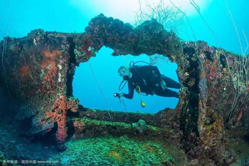 一、蓝色大海的传说起源