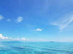 二、蓝色大海的自然奇观