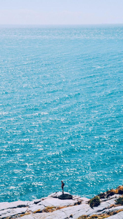 四、蓝色大海与生态保护