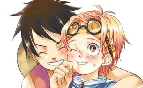 二、角色深度剖析：路飞的成长与大妈的挑战