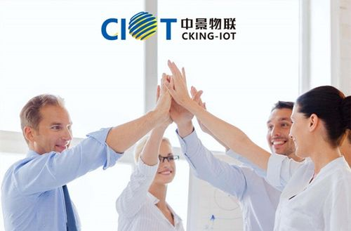 四、团队合作与策略制定