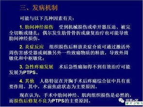 二、上午时段：综合节目丰富多样