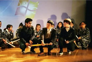 四、下午时段：电视剧与专题节目轮播