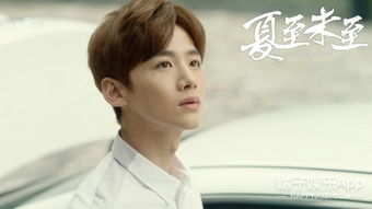1. 电视剧《夏至未至》