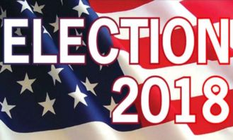 2. 美国中期选举