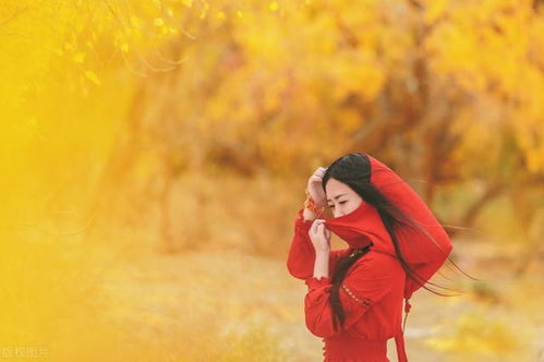 三、摄影技巧与最佳拍摄时机