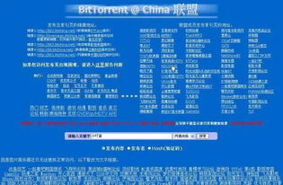 四、bt天堂的合法性与版权问题