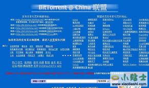 五、bt天堂的替代选择