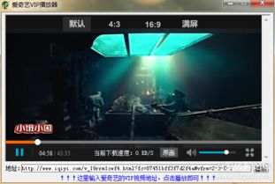 四、影视播放器使用技巧