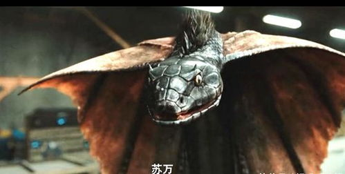 二、狂蟒之灾的影响