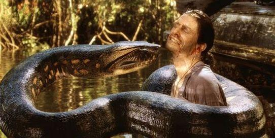 三、如何预防狂蟒之灾