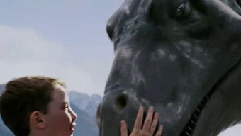 一、八戒八戒手机电影网的特色服务