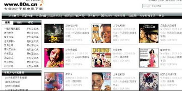 四、电视剧官方网站查询