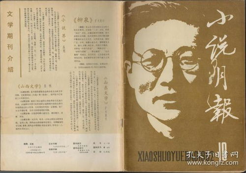 五、小说的文学价值