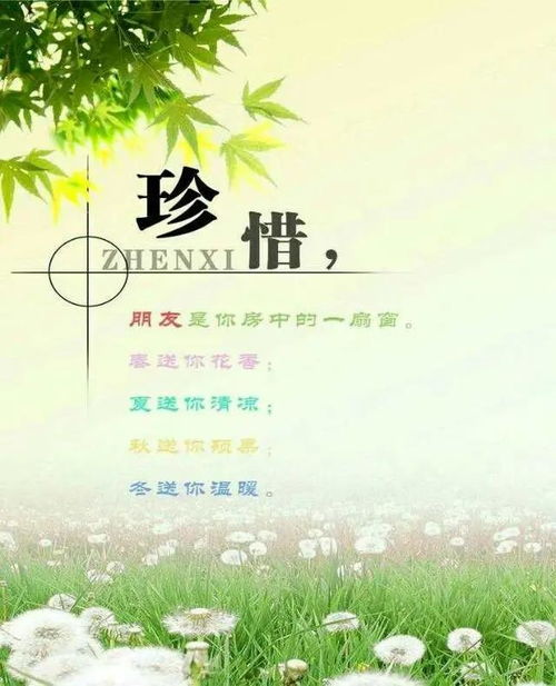 五、珍惜与感恩，爱情晴天的秘诀