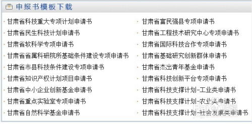 二、战略执行：高效推进，迅速占领市场