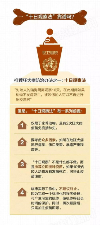 二、免费观看的合法途径