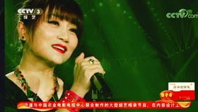 五、替代剧集的选择