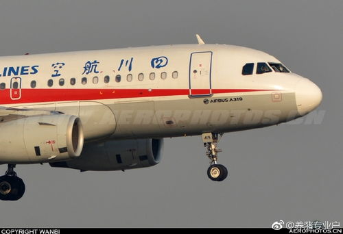 五、旅客的飞行安全意识培养