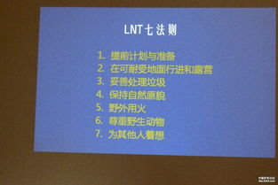 三、内容创作的深度与可读性