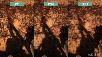 三、不同平台画质对比